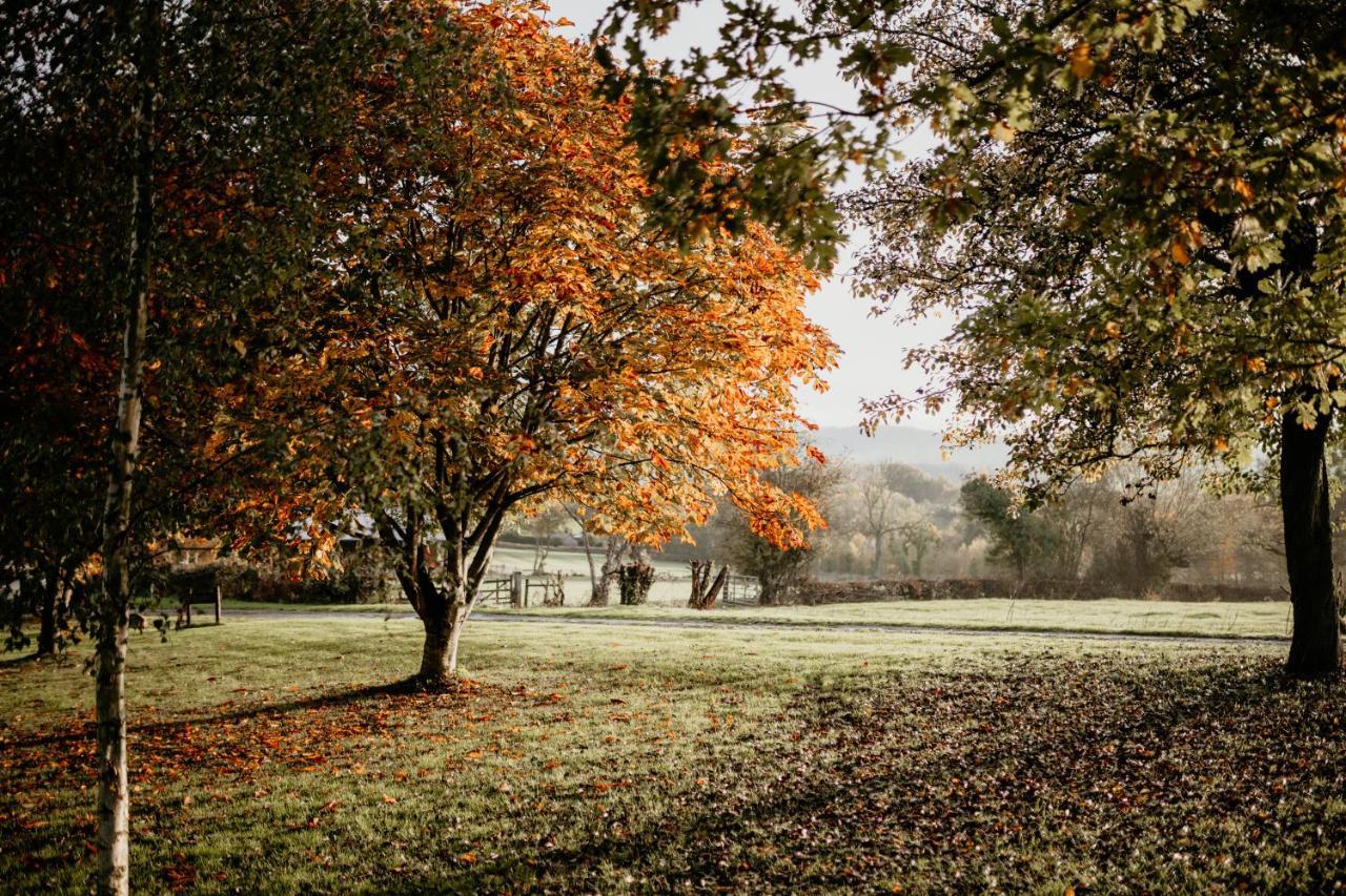 Caplor Glamping & Lodges Hereford Zewnętrze zdjęcie